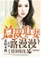 总裁追妻道路深