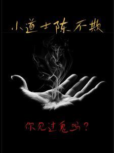 小道士陈不欺全集